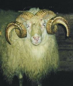 16933672_10155032729136112_471466100_n