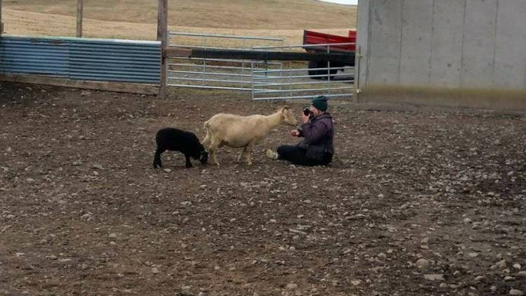 18052949_10155237635236112_49795076_n